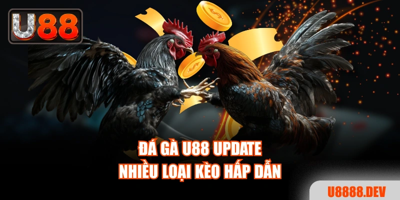 Đá Gà U88 - Sân Chơi Chuyên Nghiệp Quy Tụ Hàng Trăm Chiến Kê
