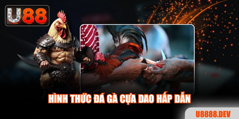 Trải Nghiệm Đá Gà Cựa Dao Đỉnh Cao Dành Cho Người Mới
