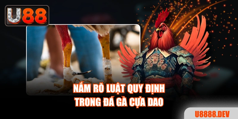 Trải Nghiệm Đá Gà Cựa Dao Đỉnh Cao Dành Cho Người Mới