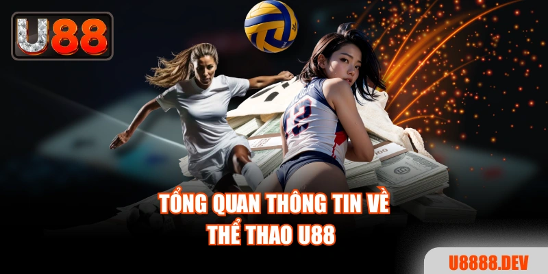 Thể Thao U88 - Thưởng Thức Hàng Ngàn Giải Đấu Đẳng Cấp